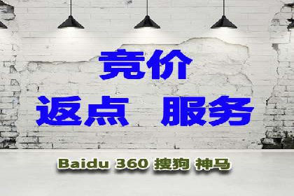 竞价推广公司案例：实战技巧与策略